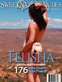 Felisha gets naughty at the erotic photo - Picture 1