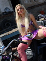 Breathtaking blonde babe in pink fishnet - Picture 2