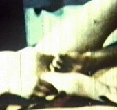 Very hairy classic porn beauty taking hard cock&hellip;