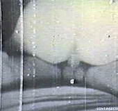 Classic porn hottie with hairy snatch riding hard&hellip;