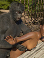 Sexy ebony jungle explorer was humped by - Picture 4