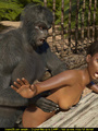Horny 3d toon gorilla fucking variously - Picture 4