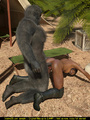 Well hung gorilla fucks a brown skinned - Picture 2