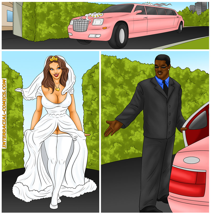 Interracial Cuckold Cartoon Porn Comics - Stunning brunette bride consummates her marriage on a pink ...