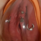 Have you ever seen such sweet shaved pussie - XXX Dessert - Picture 5