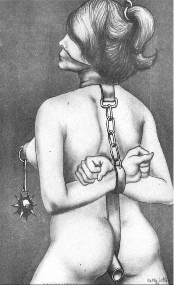Get a bang out of watching awesome - BDSM Art Collection - Pic 8