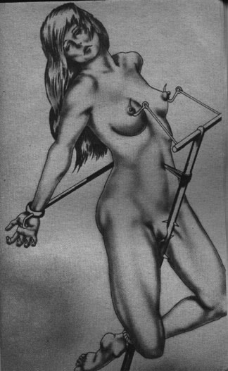 Get a bang out of watching awesome - BDSM Art Collection - Pic 12