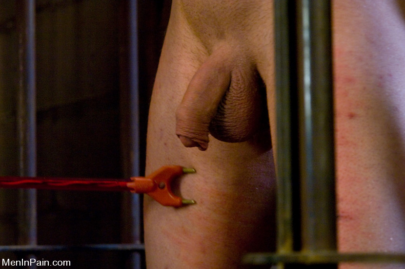 Sex obsessed blonde strips mature white hot - XXX Dessert - Picture 10