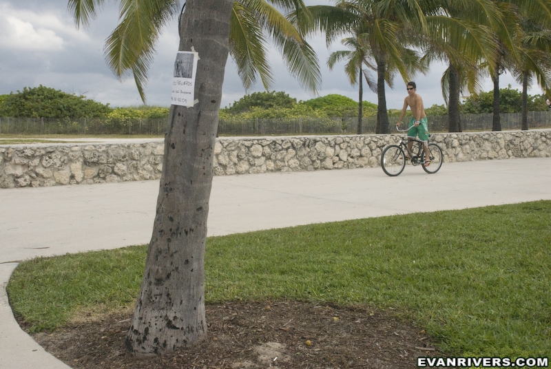 Two friends have fun playing with each othe - XXX Dessert - Picture 1