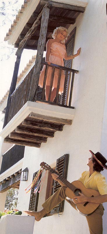 Seventies man giving a serenade to his sexy - XXX Dessert - Picture 1