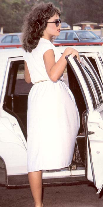 Hairy seventies lady fucking her horny limo - XXX Dessert - Picture 1