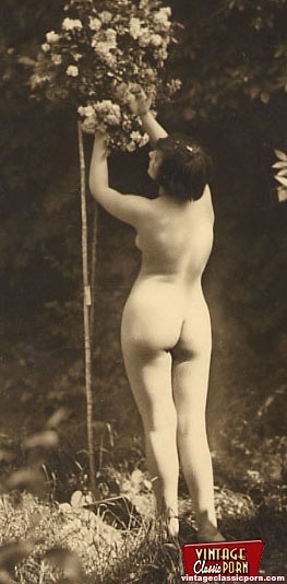 Vintage hotties showing beautiful bottoms i - XXX Dessert - Picture 12