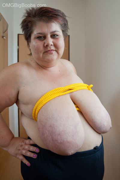 Short-haired mature bitch plying with a yellow rope - Picture 4