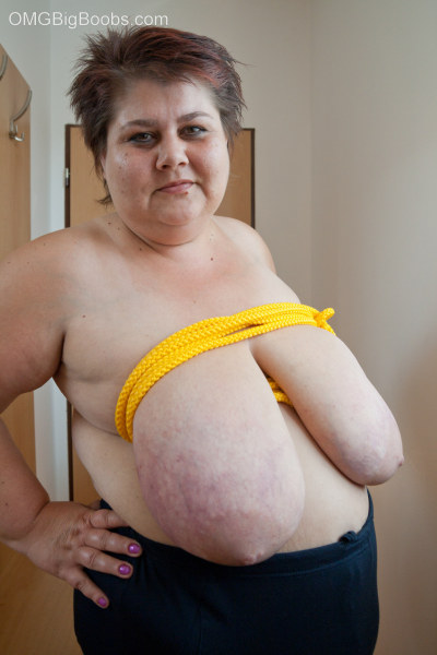 Short-haired mature bitch plying with a yellow rope - Picture 5