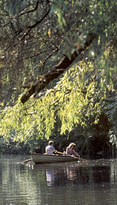 Hot vintage slut in red latex gets her bald - XXX Dessert - Picture 1