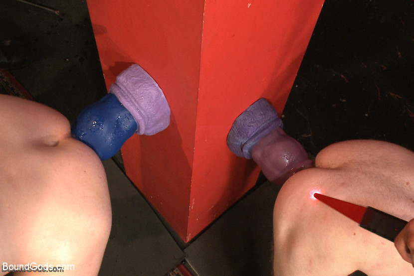 Two randy slave guys made to suck cock and  - XXX Dessert - Picture 5