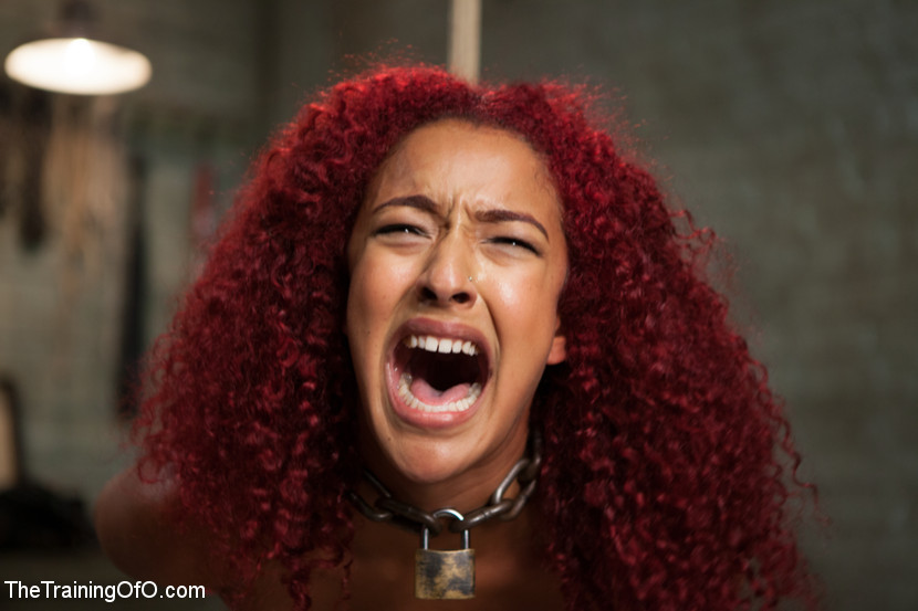 Hardcore bondage as redhead is racked, rope - XXX Dessert - Picture 19