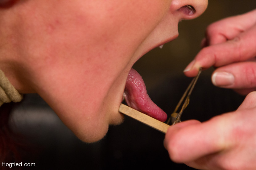 Hot bondage games with chick roped, hung an - XXX Dessert - Picture 3