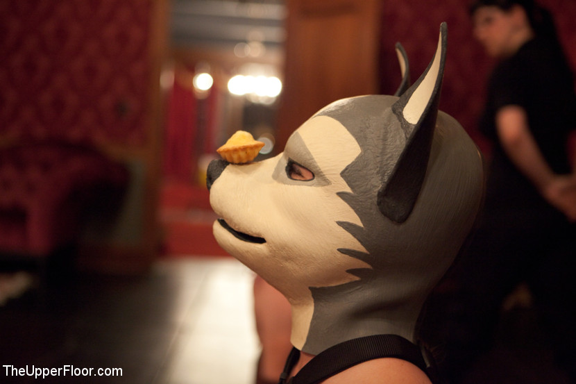 Enslaved girls bound and made to wear anima - XXX Dessert - Picture 7