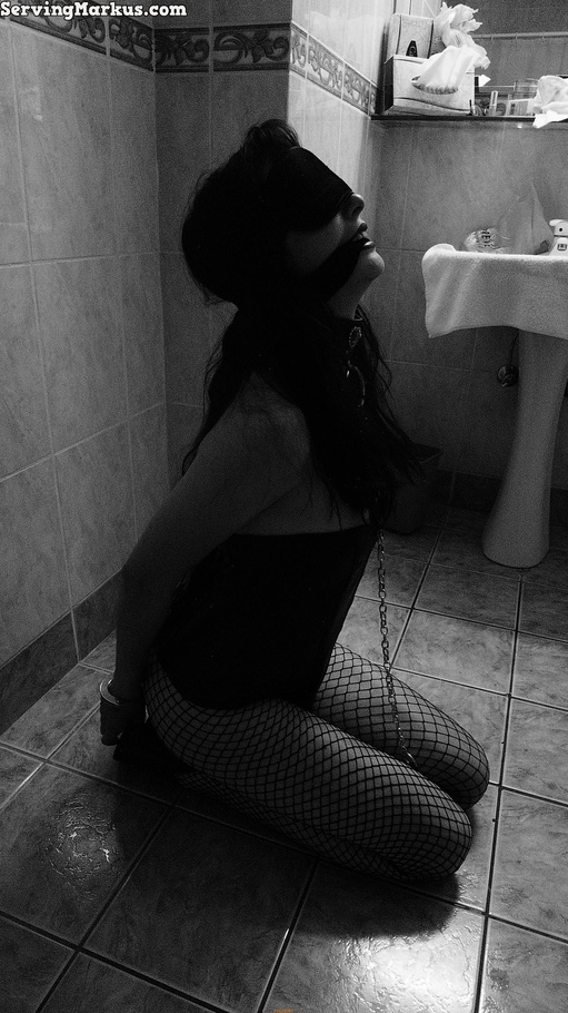 Blindfolded and gagged slave on a dog leash - XXX Dessert - Picture 4