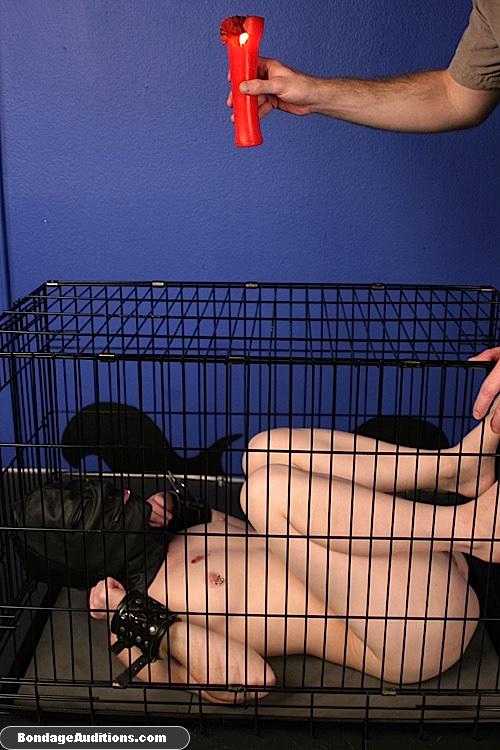 Caged little bimbo is ready for some waxing - XXX Dessert - Picture 12