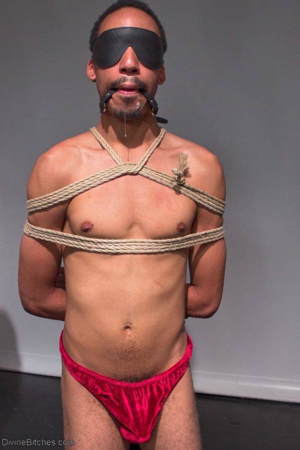Puppy play includes ropes, gags and a stifl - XXX Dessert - Picture 7