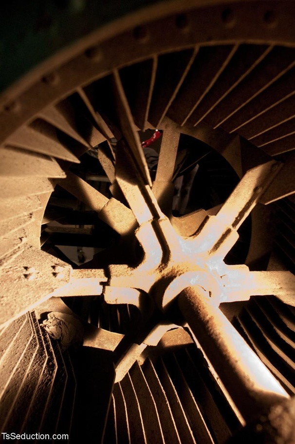 Latex-loving black t-girl uses rope bondage - XXX Dessert - Picture 2