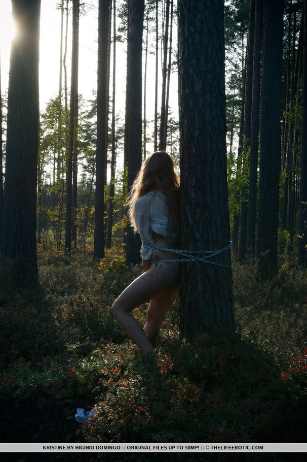 Lovely girl bound to a tree gets naked and  - XXX Dessert - Picture 12