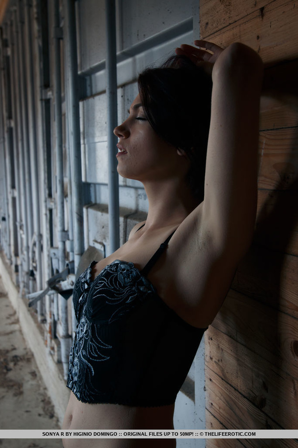 Tasty brunette in black corset and stocking - XXX Dessert - Picture 1