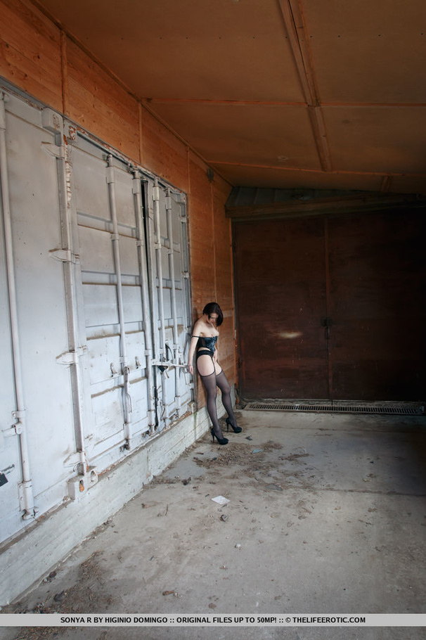 Tasty brunette in black corset and stocking - XXX Dessert - Picture 7