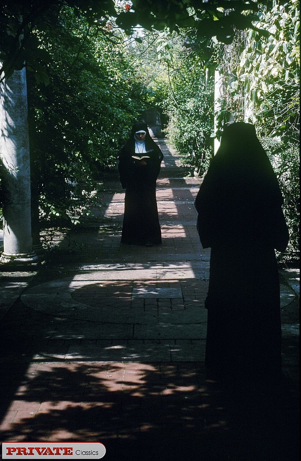 Gorgeous chicks wearing different sexy dres - XXX Dessert - Picture 3