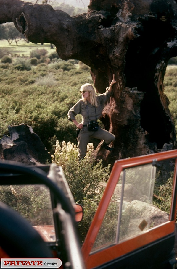 Gorgeous ranger gets rescued by two hunk vi - XXX Dessert - Picture 7