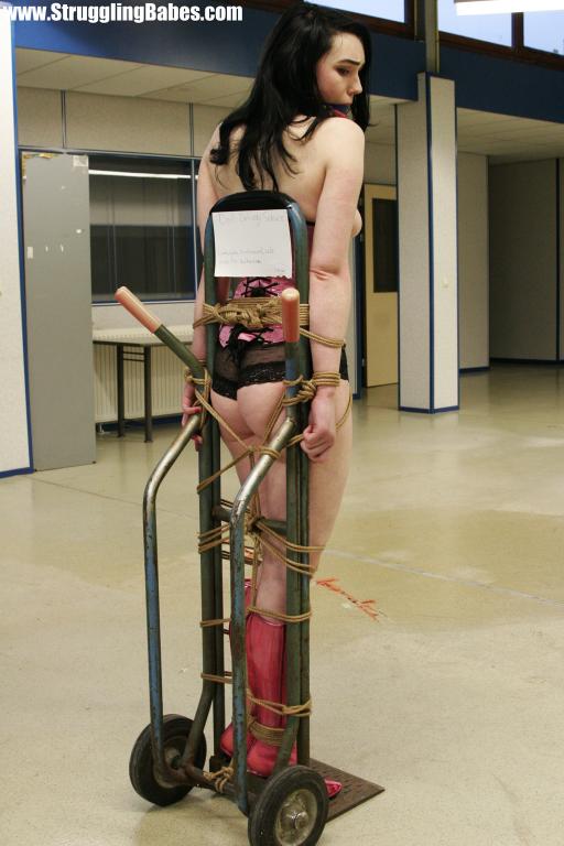 Dark hair beauty in pink corset and boots tied, gagged and transported on trolley - XXXonXXX - Pic 7