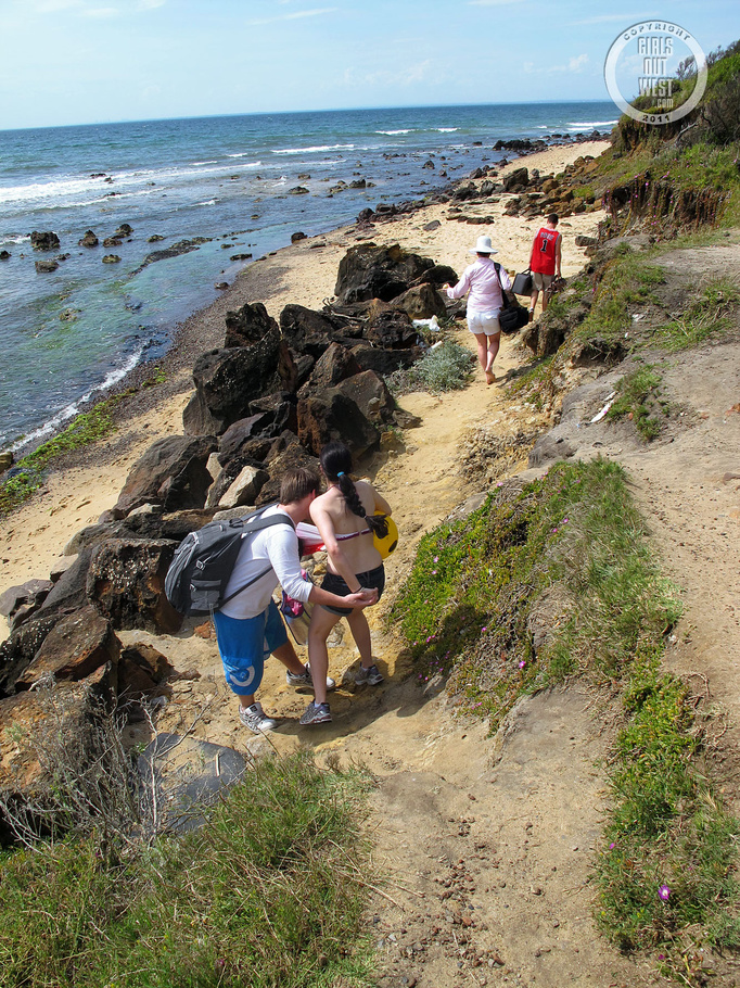 Foxy chicks with banging bodies take off their clothes and reveals their indulging boobs while they suck some hunk men's dicks then lets them fuck their pussies in different styles at the beach. - XXXonXXX - Pic 4