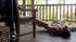 Slim Australian 18 yo Estelle rubbing her lovehole somewhere under bridge.