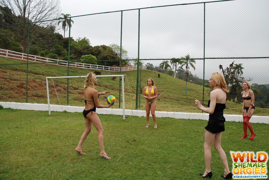 Shemales have dick sucking orgy outdoors - XXX Dessert - Picture 6