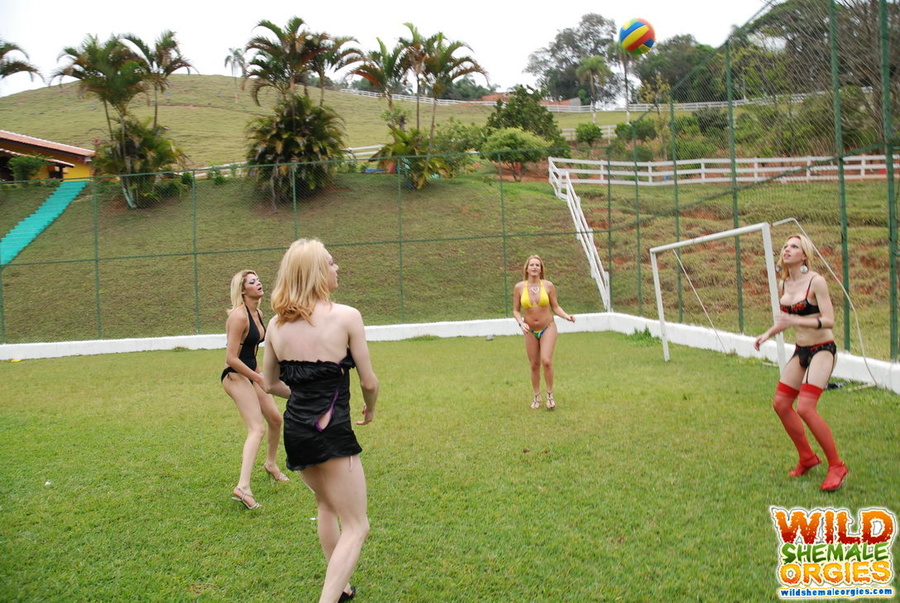 Tranny In String Bikini Playing Volley Ball Xxx Dessert Picture 5