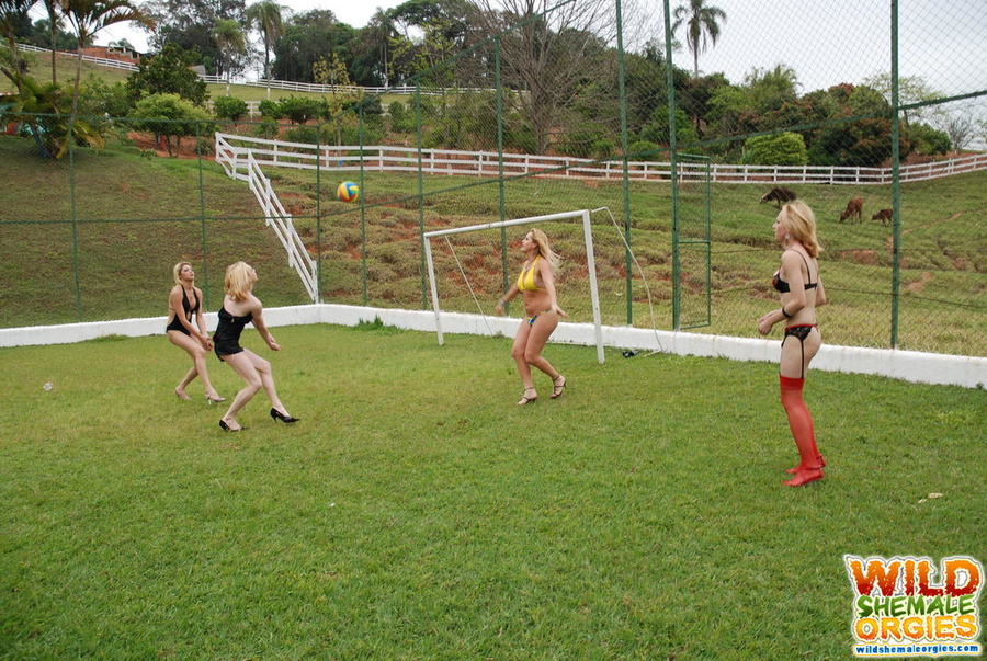 Big tit blonde tranny pounds ass - XXX Dessert - Picture 6