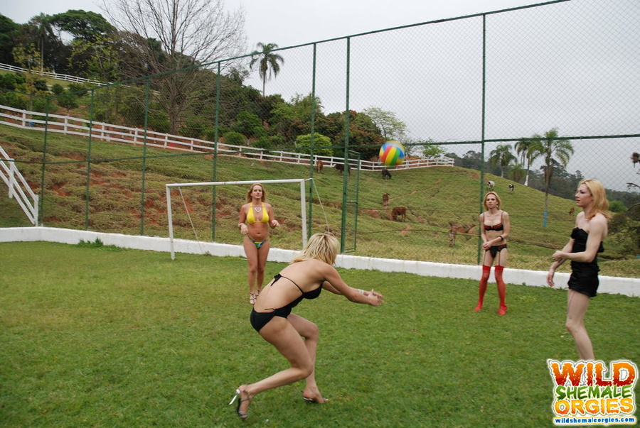 Cowgirl style ass fucking in shemale orgy - XXX Dessert - Picture 3