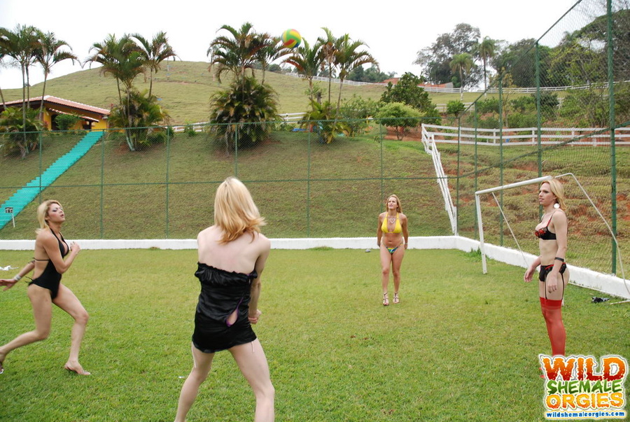 Cowgirl style ass fucking in shemale orgy - XXX Dessert - Picture 4