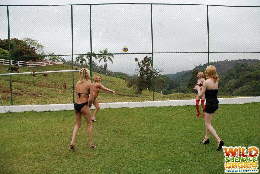 Cowgirl style ass fucking in shemale orgy - XXX Dessert - Picture 5