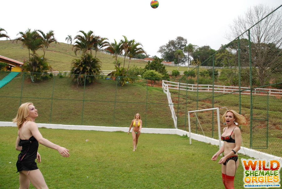 T-girls on blanket outside jacking off - XXX Dessert - Picture 3