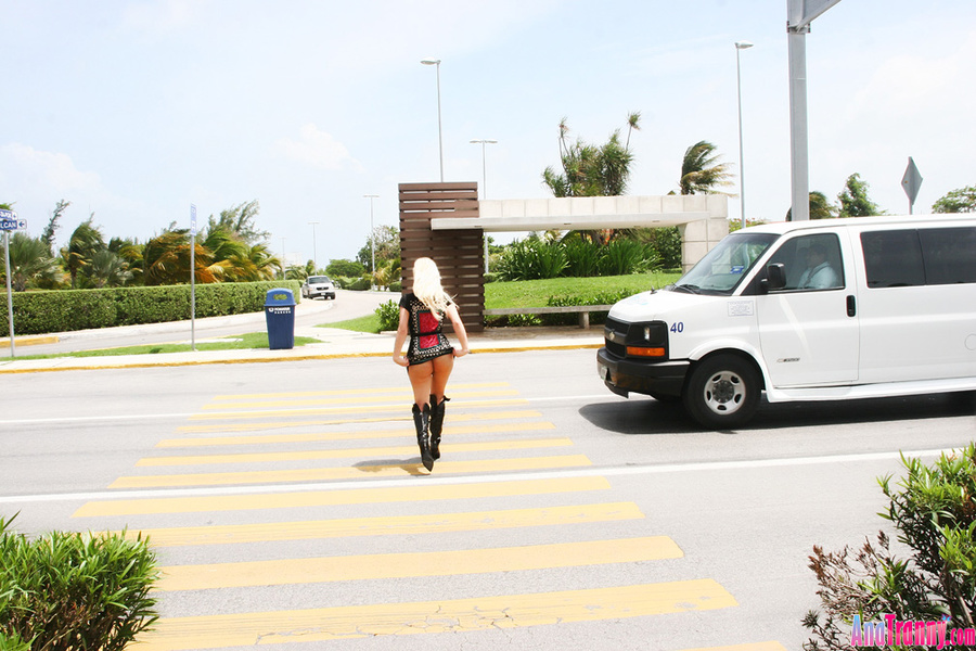 Luscious Shemale Stripping on the Street Co - XXX Dessert - Picture 16