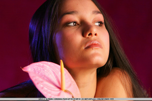 Sensual exotic dark featured girl looks  - Picture 11
