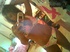 Homemade selfshot pics of young indian girl changing her clothes in front