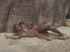 some latin sex beach