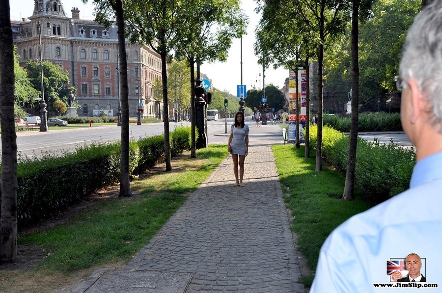 There are only scenes of getting familiariz - XXX Dessert - Picture 1