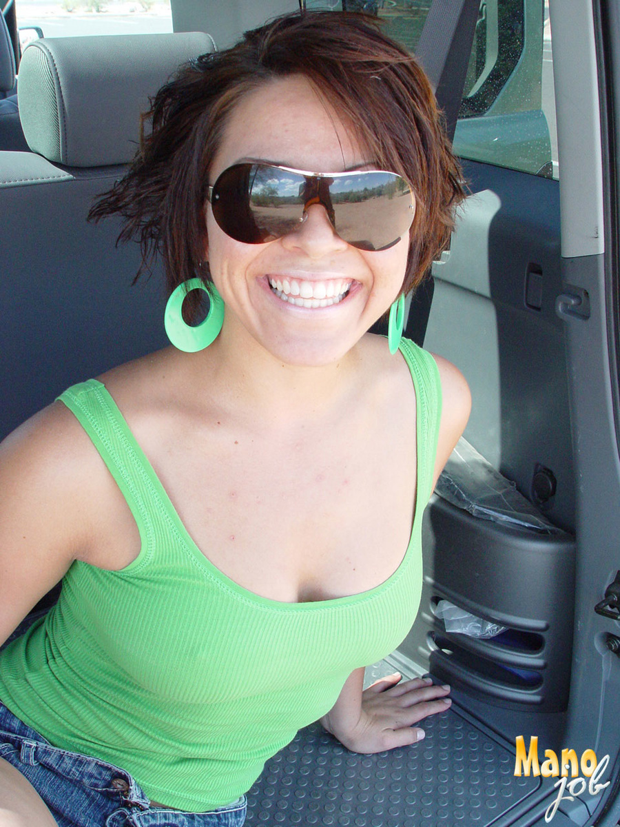 What ‘lever’ to use when driving a car and  - XXX Dessert - Picture 1