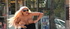 dropped boobs out black