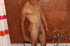 Blonde gay boy feeling so naughty after shower and decided to seduce his